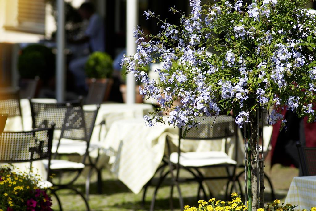 Hotel & Restaurant Sonne Kirchzarten Eksteriør bilde